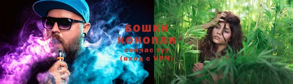спиды Белокуриха